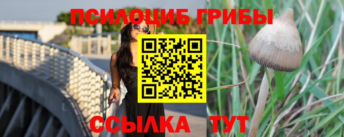Курган  Галлюциногенные грибы ЛСД  Вход с VPN 